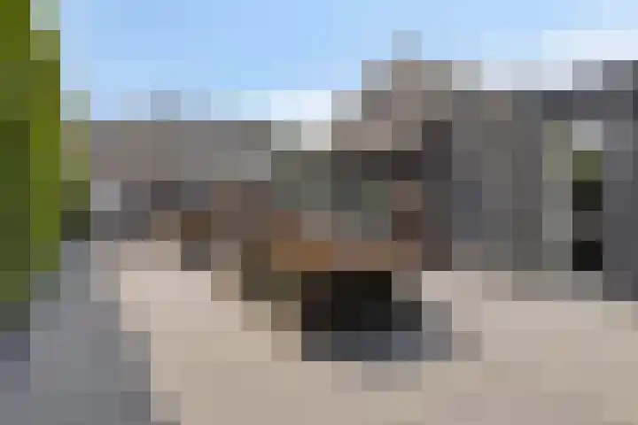 Laone 21 Renesse thumbnail 57