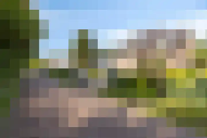 Laone 21 Renesse thumbnail 7