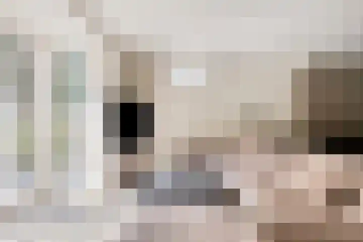 Laone 21 Renesse thumbnail 8
