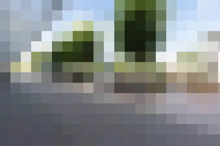 Lapis Lazuli 129 Heerhugowaard thumbnail 37