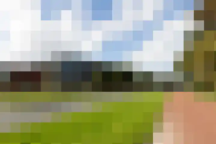 Lapis Lazuli 129 Heerhugowaard thumbnail 41