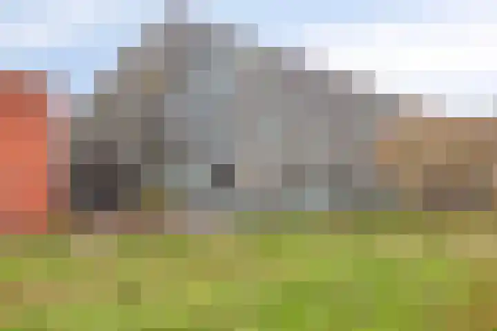 Lapis Lazuli 137 Heerhugowaard thumbnail 38