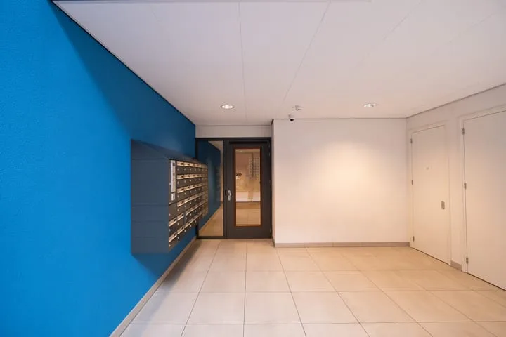 Lapis Lazuli 151 Heerhugowaard thumbnail 24