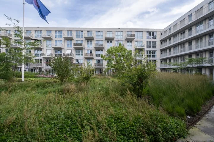 Lapis Lazuli 151 Heerhugowaard thumbnail 27