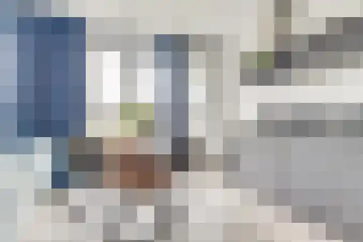 Lapis Lazuli 158 Heerhugowaard thumbnail 16