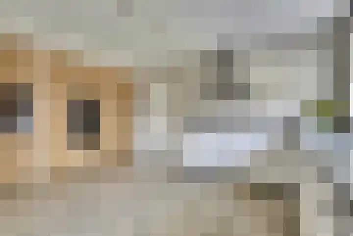 Lapjeskat 27 Kapelle thumbnail 16