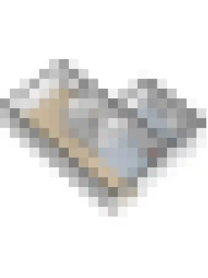 Lapjeskat 27 Kapelle thumbnail 47