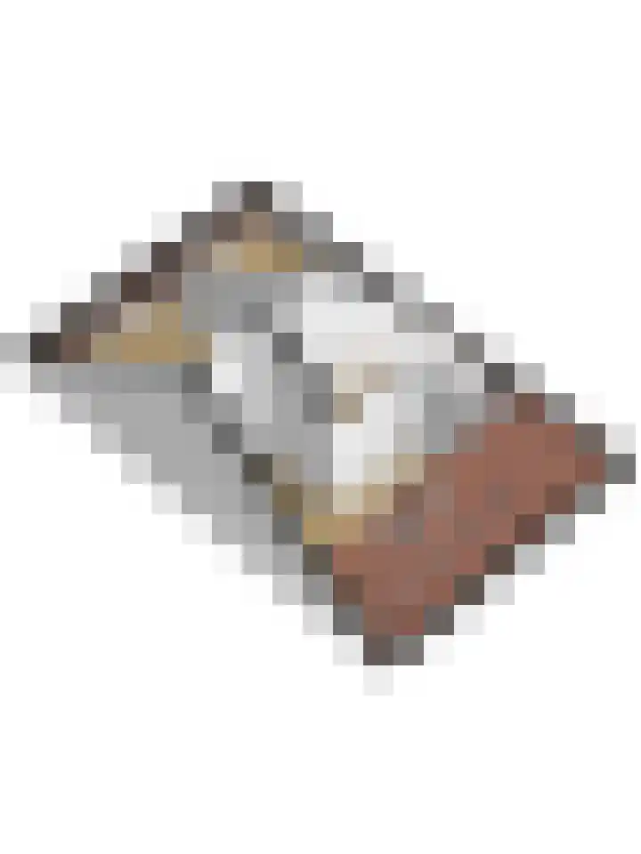 Lapjeskat 27 Kapelle thumbnail 49