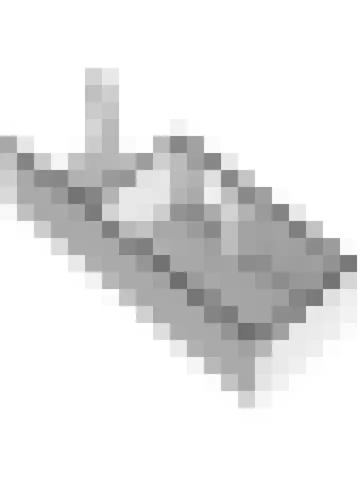 Lapjeskat 27 Kapelle thumbnail 50