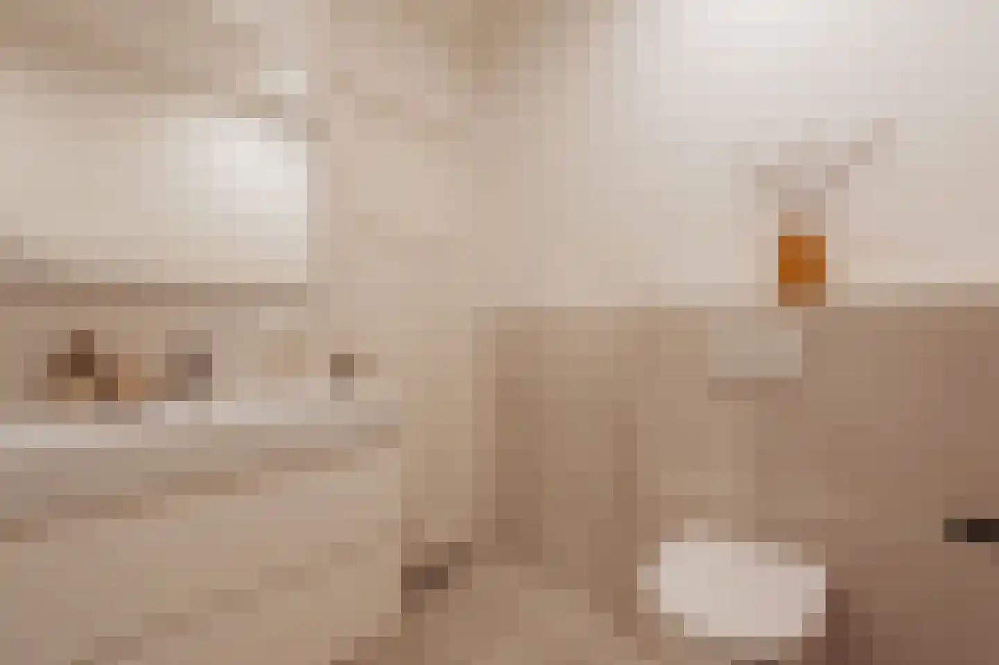 Laplacestraat 59 Amsterdam thumbnail 33