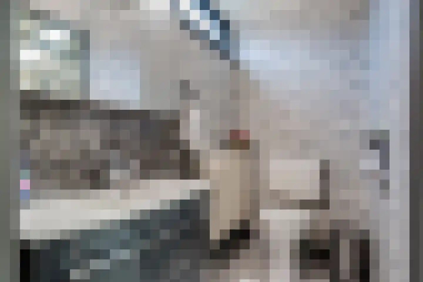 Lapland 8 Delfzijl thumbnail 23