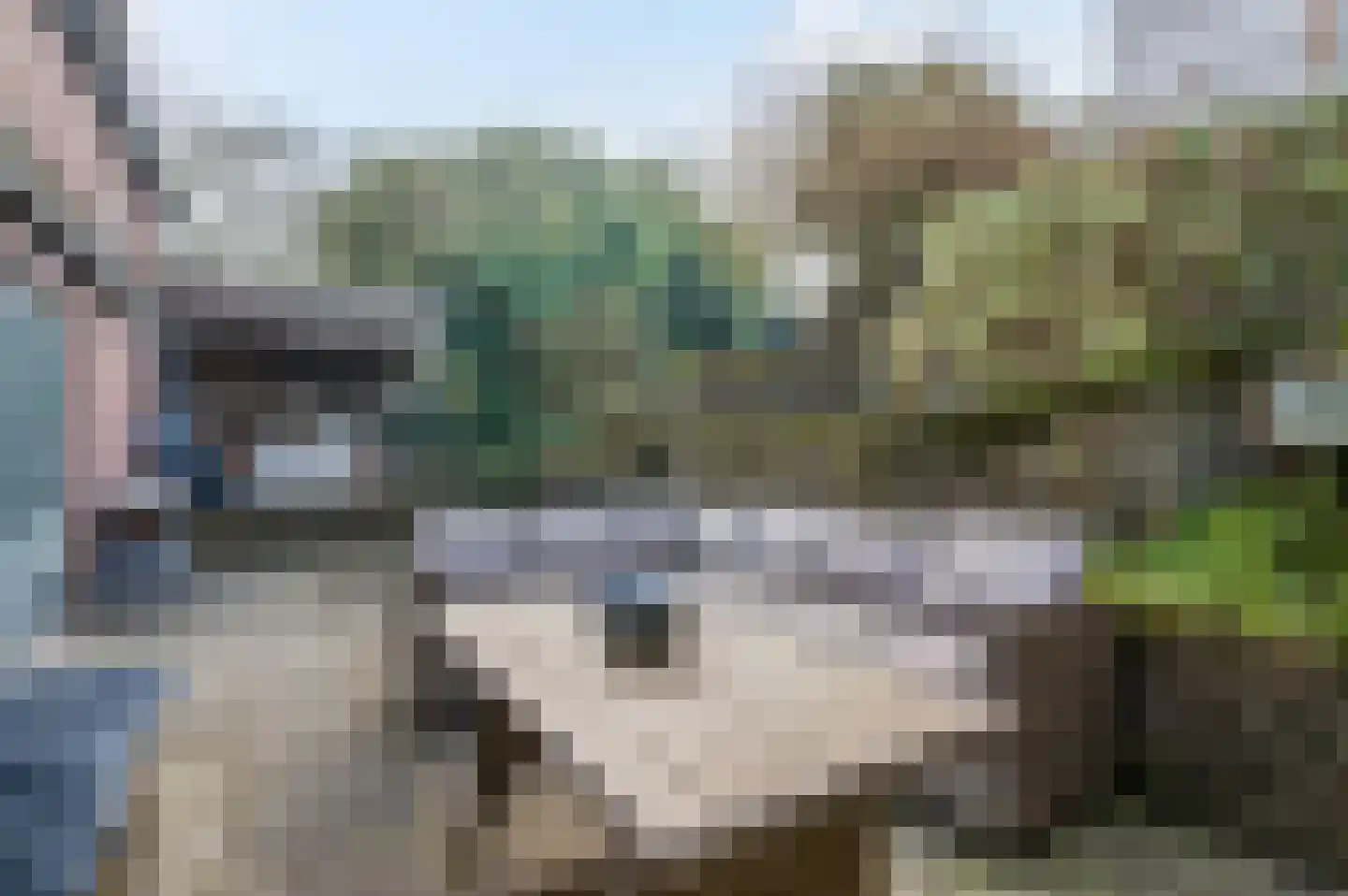 Lappenafweg 9 IJzendoorn thumbnail 37