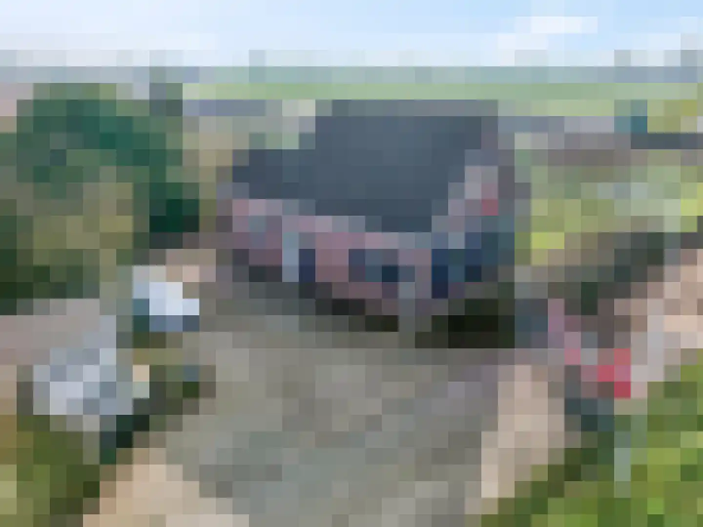 Lappenafweg 9 IJzendoorn thumbnail 43