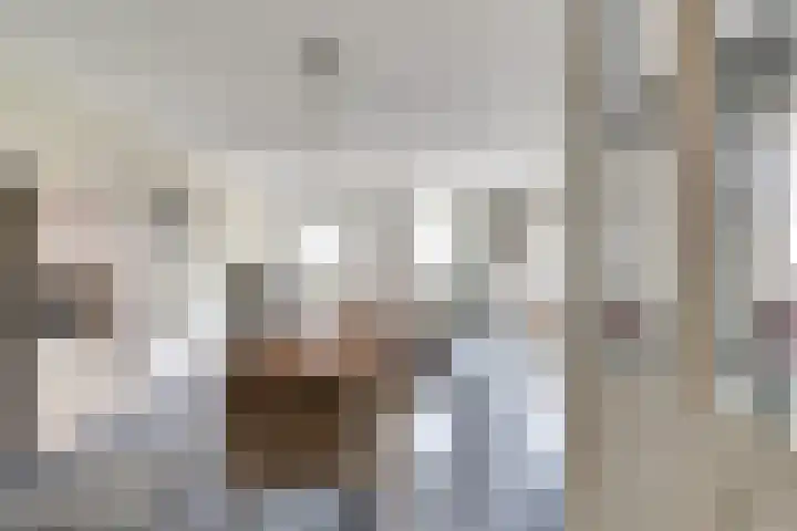 Lapper 5 Drunen thumbnail 11