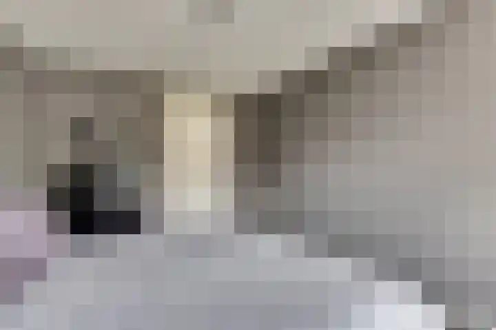 Lapper 5 Drunen thumbnail 13