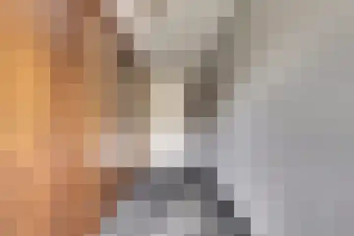 Lapper 5 Drunen thumbnail 17