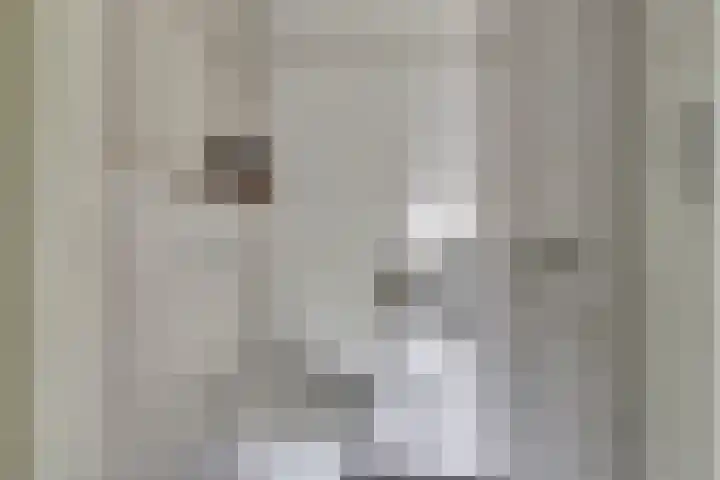 Lapper 5 Drunen thumbnail 19