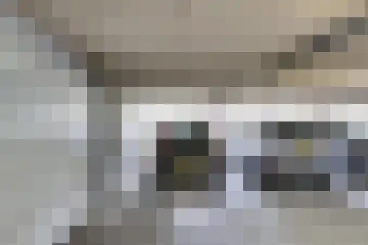 Lapper 5 Drunen thumbnail 25