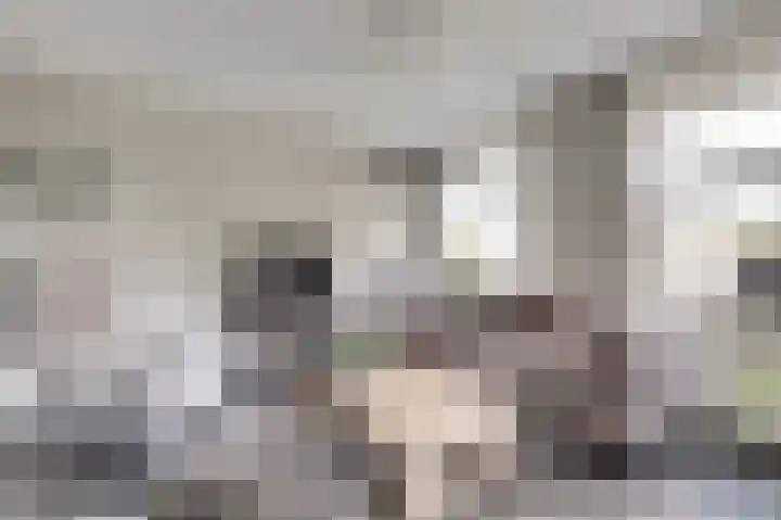 Lapper 5 Drunen foto 3