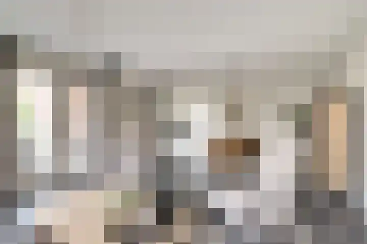 Lapper 5 Drunen thumbnail 4