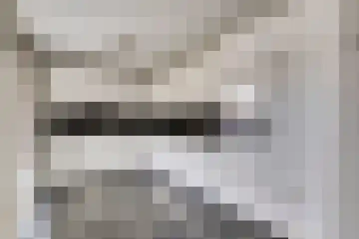 Lapper 5 Drunen thumbnail 5
