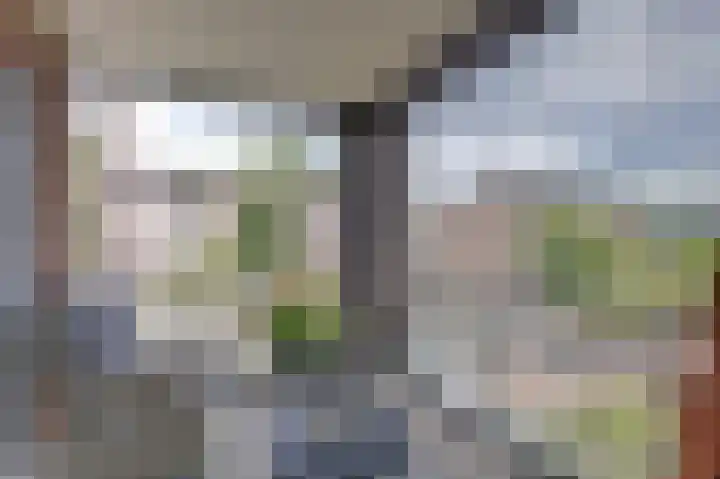 Lapper 5 Drunen thumbnail 8