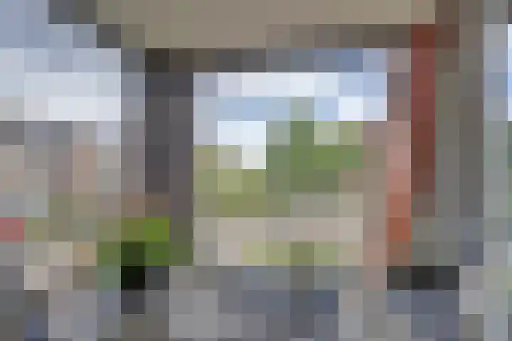 Lapper 5 Drunen thumbnail 9