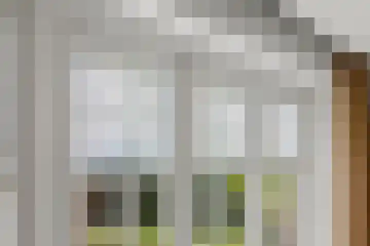 Lapvoet 15 Kaatsheuvel thumbnail 10
