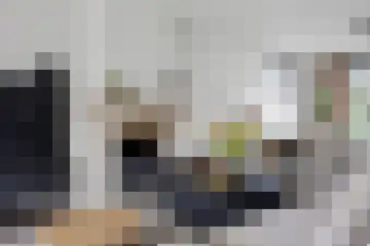 Lapvoet 15 Kaatsheuvel thumbnail 11