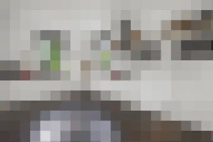 Lapvoet 15 Kaatsheuvel thumbnail 13