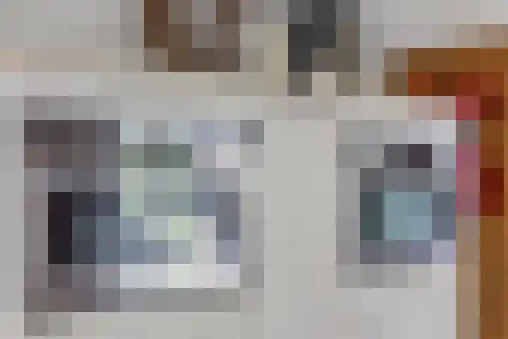 Lapvoet 15 Kaatsheuvel thumbnail 14