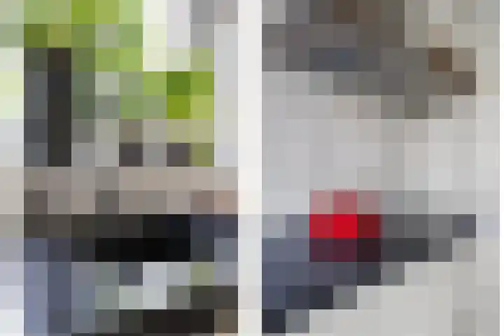 Lapvoet 15 Kaatsheuvel thumbnail 15
