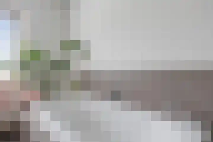 Lapvoet 15 Kaatsheuvel thumbnail 26