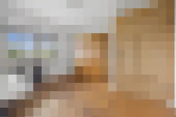 Lapvoet 15 Kaatsheuvel thumbnail 29
