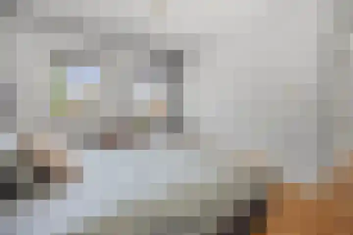Lapvoet 15 Kaatsheuvel thumbnail 32