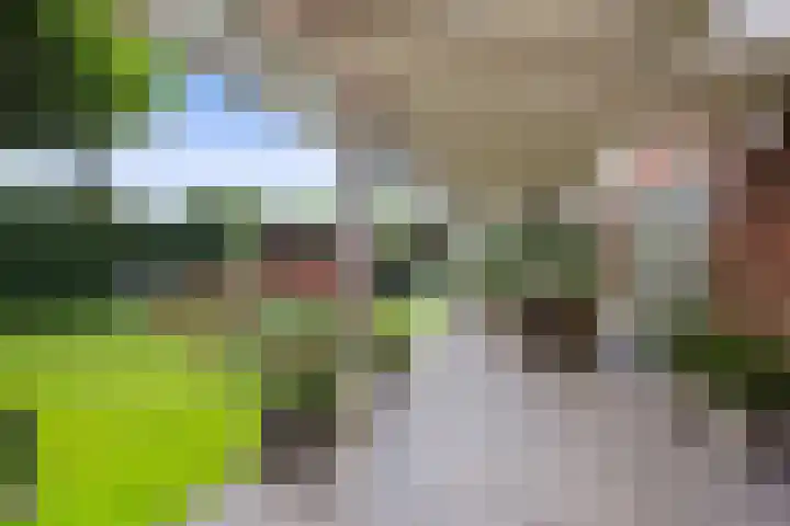Lapvoet 15 Kaatsheuvel thumbnail 37
