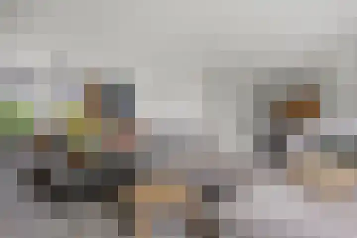 Lapvoet 15 Kaatsheuvel thumbnail 4
