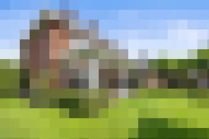 Lapvoet 15 Kaatsheuvel thumbnail 40