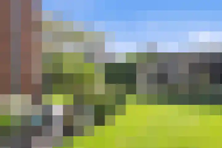 Lapvoet 15 Kaatsheuvel thumbnail 41