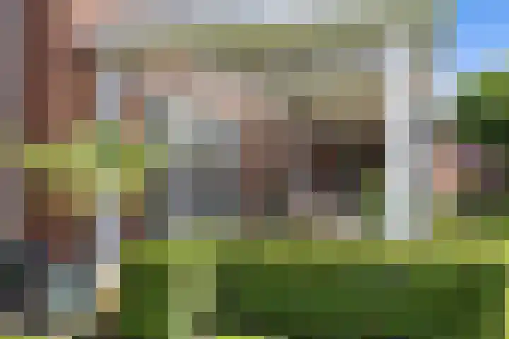 Lapvoet 15 Kaatsheuvel thumbnail 42