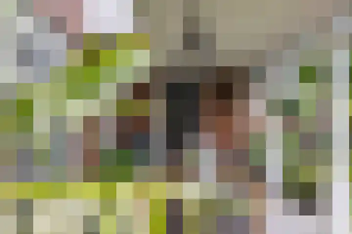 Lapvoet 15 Kaatsheuvel thumbnail 43