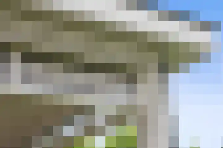 Lapvoet 15 Kaatsheuvel thumbnail 44