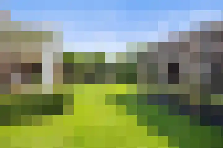 Lapvoet 15 Kaatsheuvel thumbnail 45