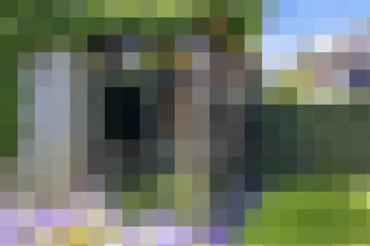 Lapvoet 15 Kaatsheuvel thumbnail 46