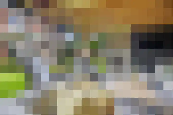 Lapvoet 15 Kaatsheuvel thumbnail 48