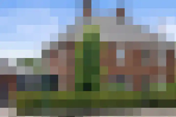 Lapvoet 15 Kaatsheuvel thumbnail 51