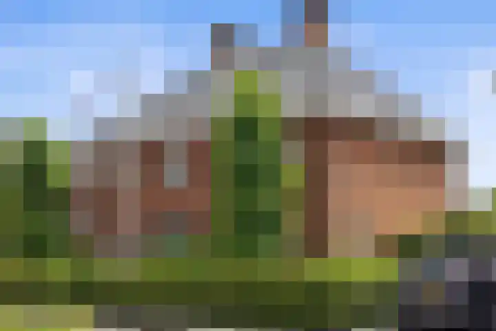 Lapvoet 15 Kaatsheuvel thumbnail 52