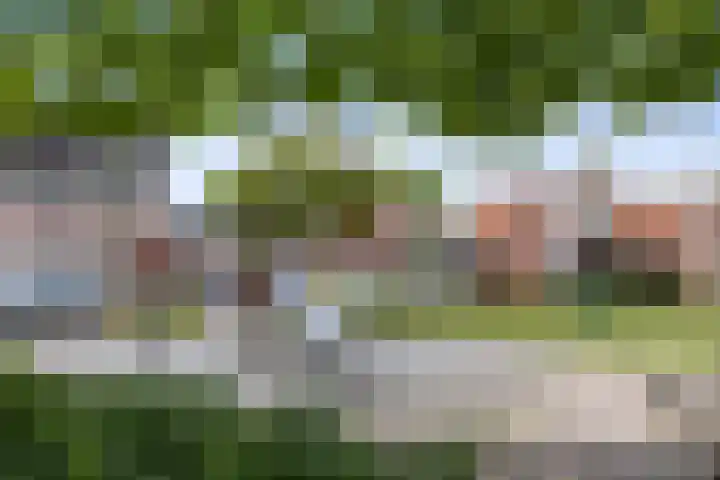 Lapvoet 15 Kaatsheuvel thumbnail 54