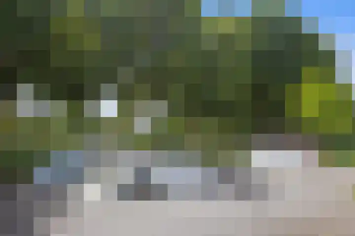Lapvoet 15 Kaatsheuvel thumbnail 55