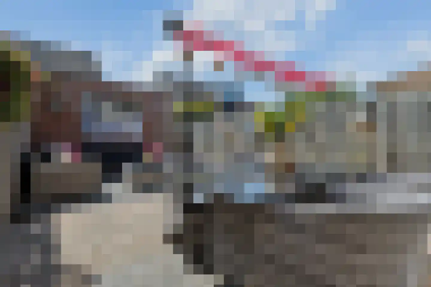 Larekamp 37 Elst Ut thumbnail 29